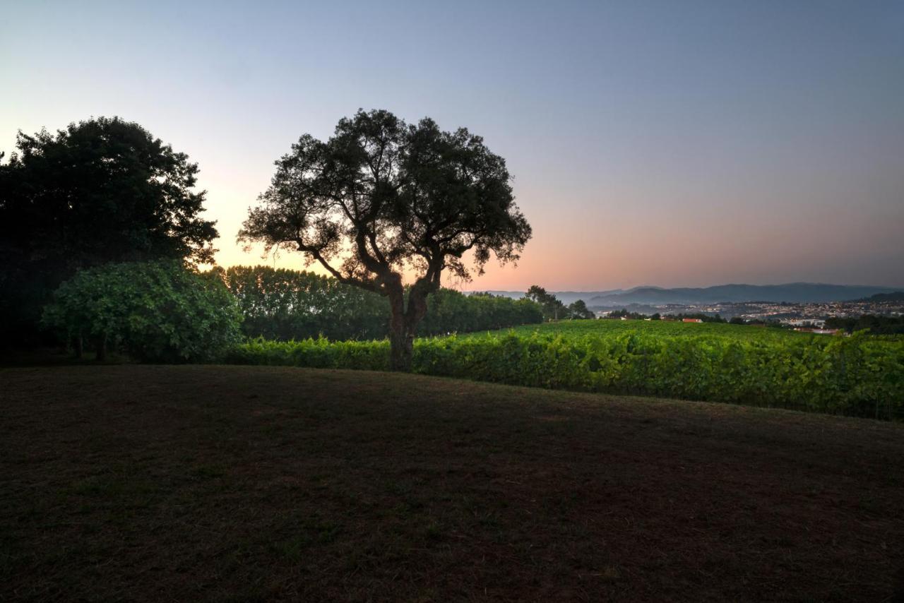 Braga House & Wine Villa Екстериор снимка