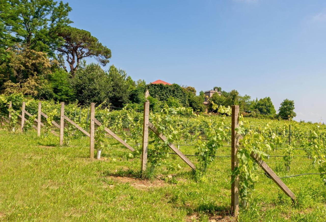 Braga House & Wine Villa Екстериор снимка
